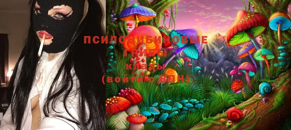 метадон Белокуриха