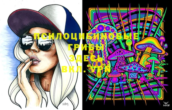 дмт Белоозёрский