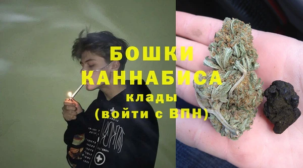метадон Белокуриха